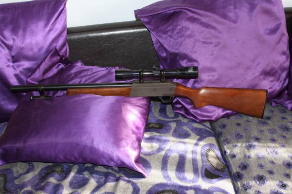 Vendo Carabbina Cal22lr