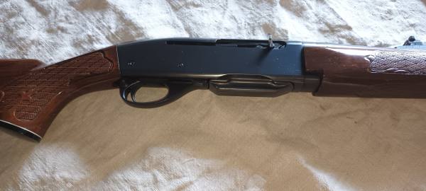 Carabina remington 308win